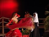 Bauchtanz, Modern Pop Orient Show, 1001 Nacht, orientalischer Bauchtanz. Arabische Nacht. (16).JPG